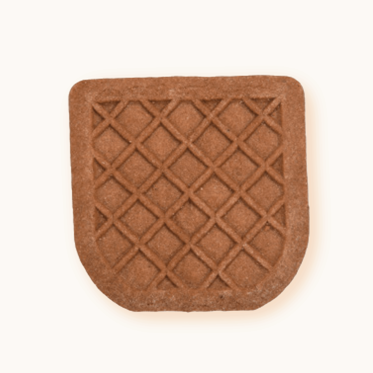 BISCOTTO MINI BON