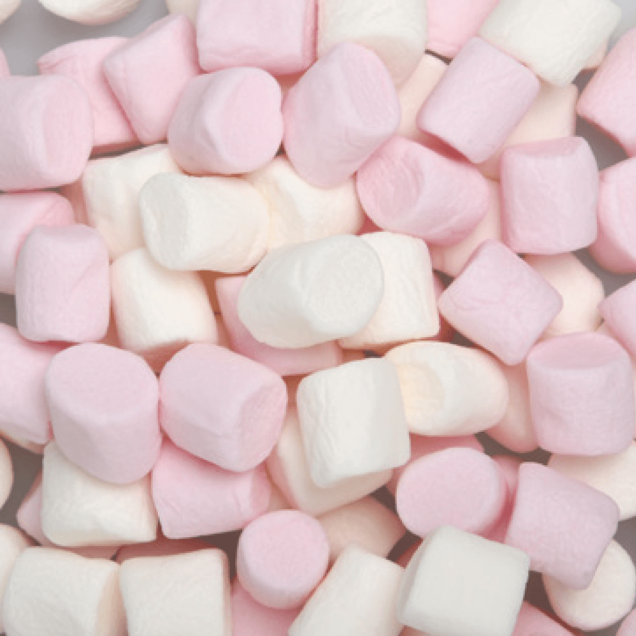 MARSHMALLOW Bianchi & Rosa