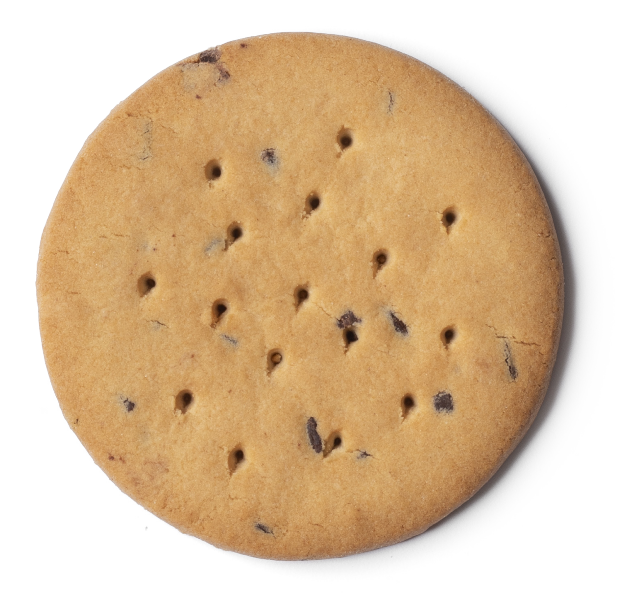 BISCOTTO MINI CIOCCOGEL