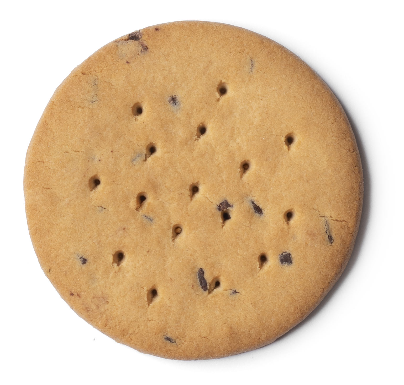 BISCOTTO MINI CIOCCOGEL